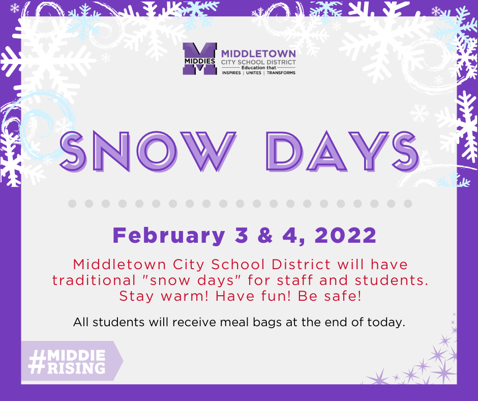 Snow Days poster