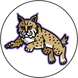 Wildcats Logo